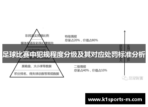 足球比赛中犯规程度分级及其对应处罚标准分析