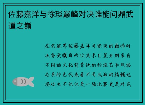 佐藤嘉洋与徐琰巅峰对决谁能问鼎武道之巅